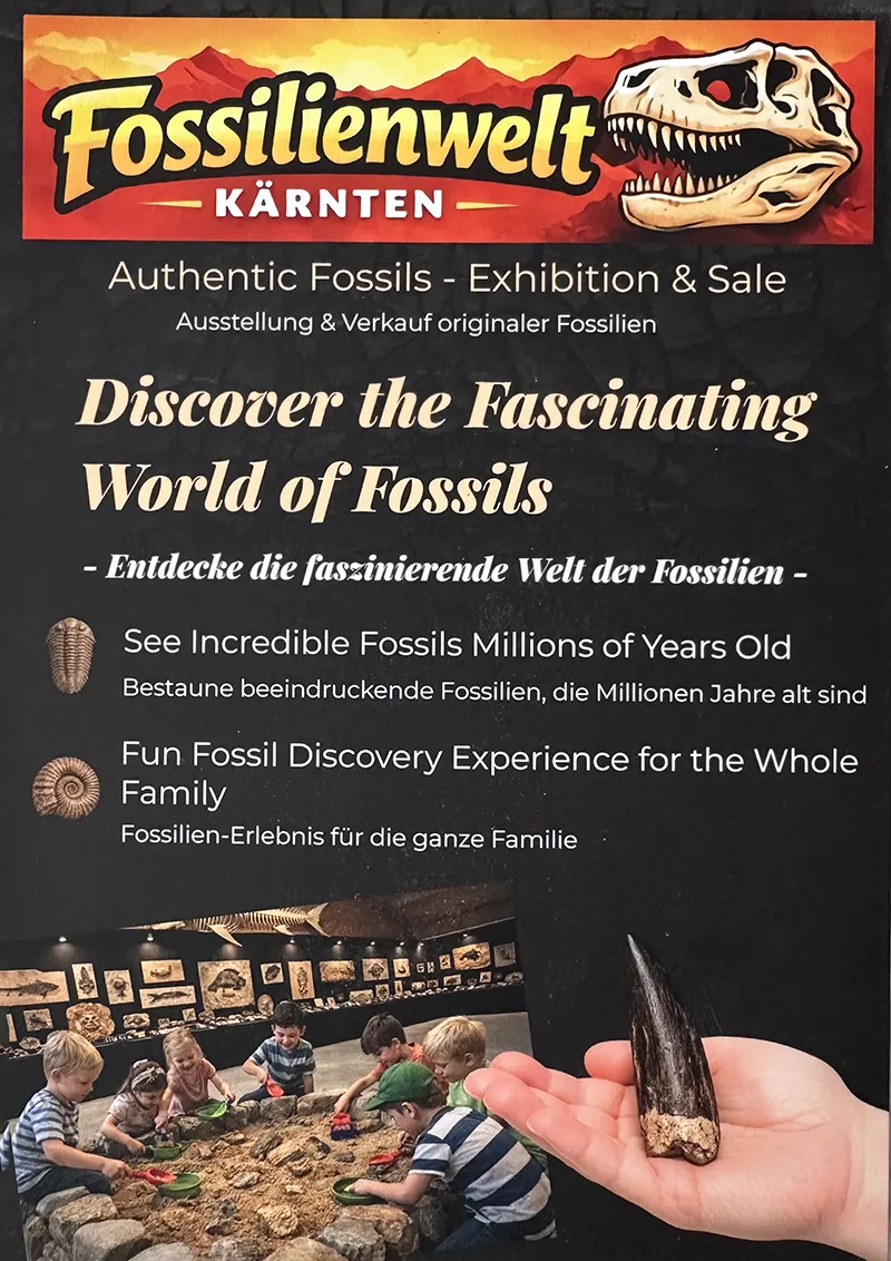 Fossilienwelt Kärnten Vorschau links